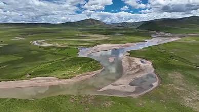 航拍夏季高原草原自然风景马群河边喝水吃草视频的预览图